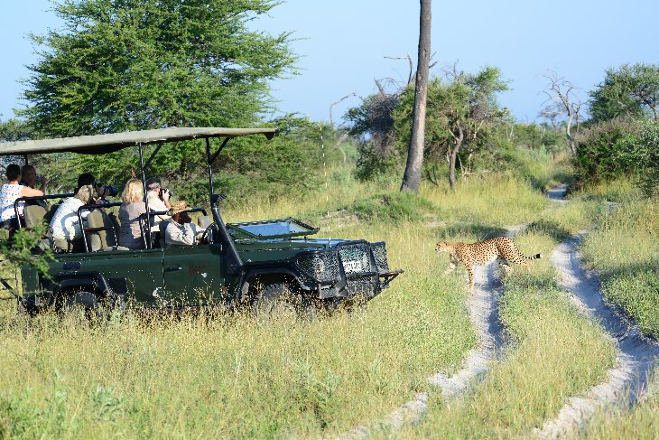 Landrover of Wildernesss Safaris with cheetah