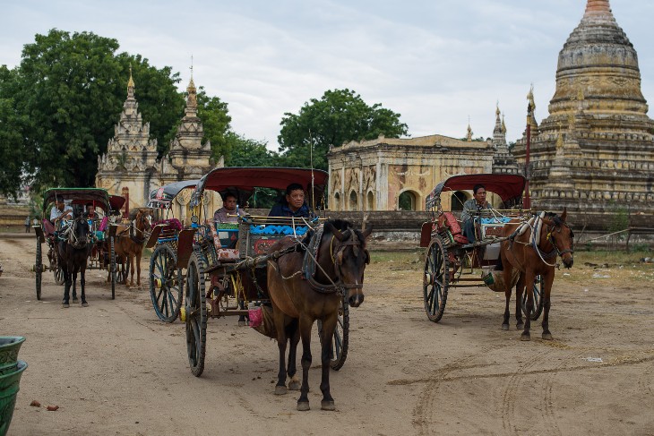horse-drawn carriage ride to the pagodas